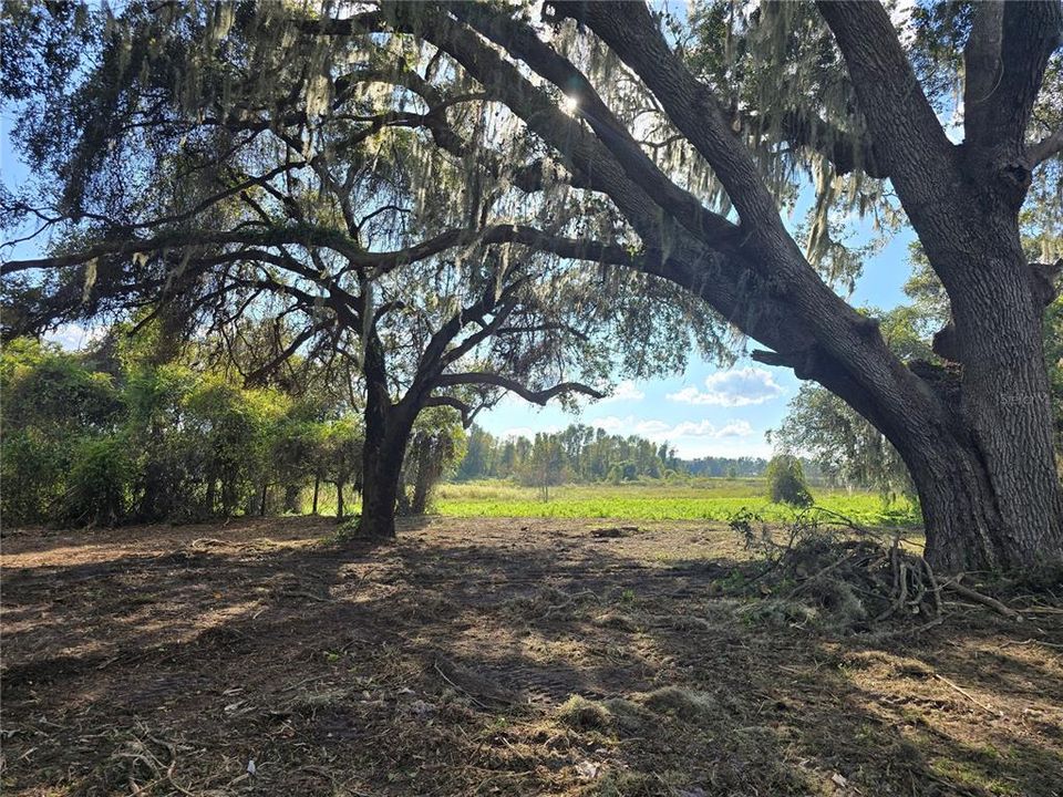 For Sale: $379,900 (21.80 acres)