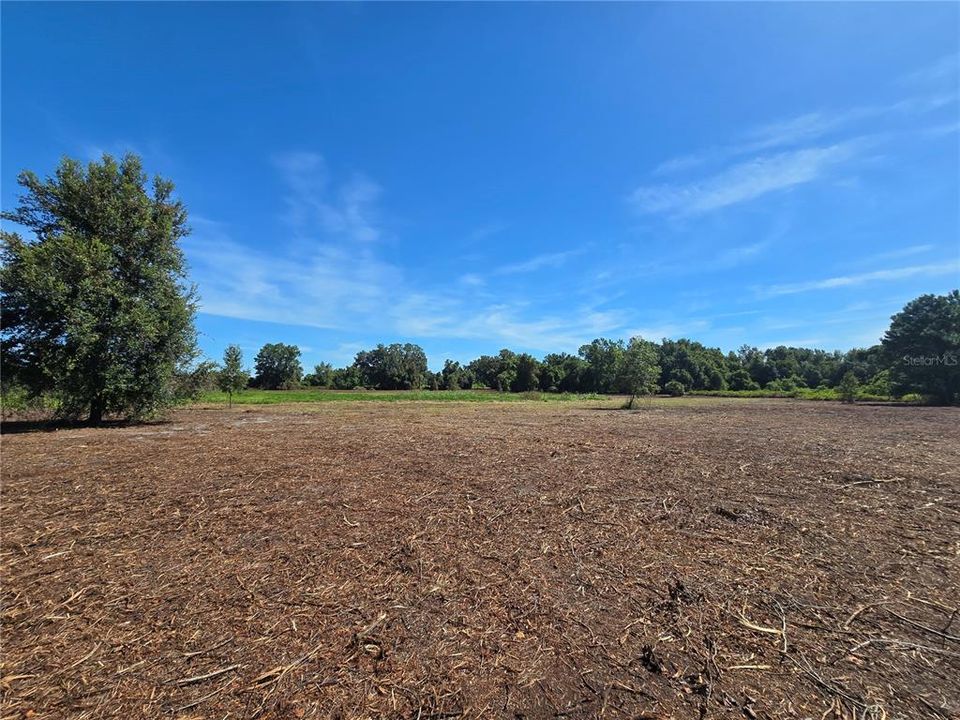 For Sale: $379,900 (21.80 acres)