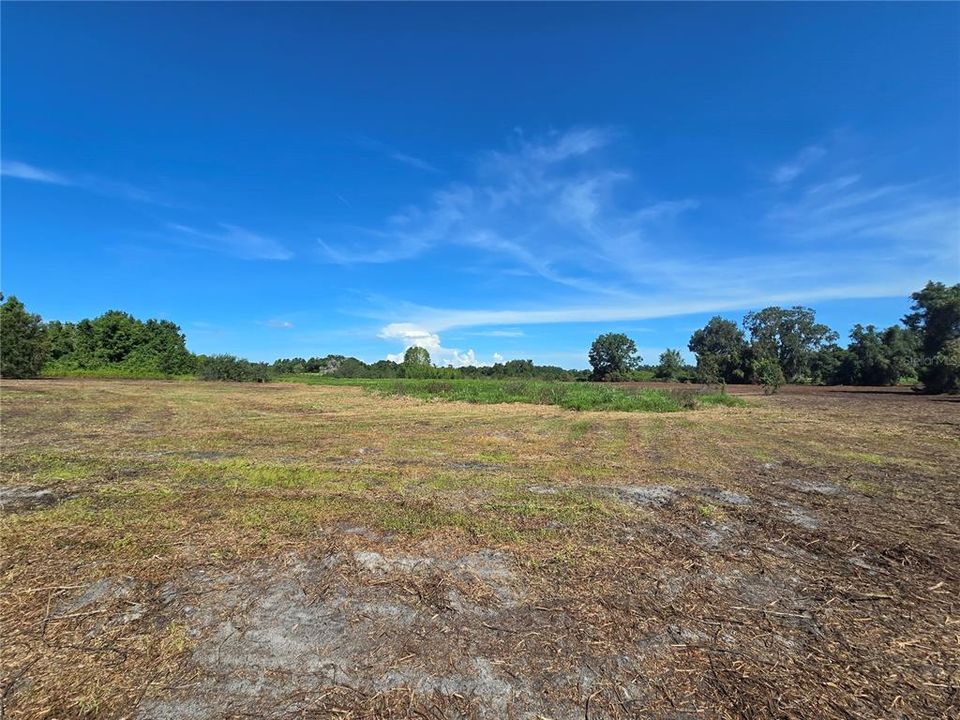 For Sale: $379,900 (21.80 acres)