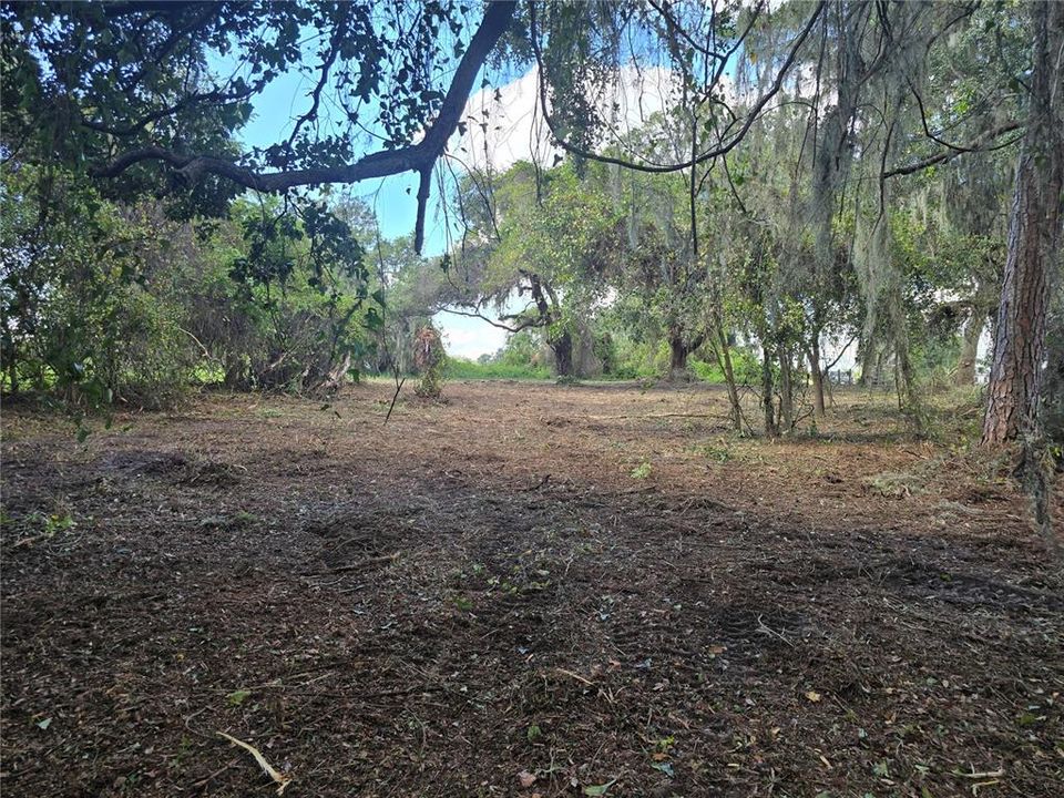 For Sale: $379,900 (21.80 acres)