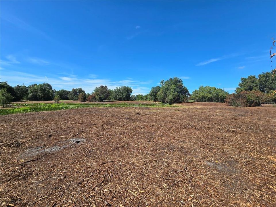 For Sale: $379,900 (21.80 acres)