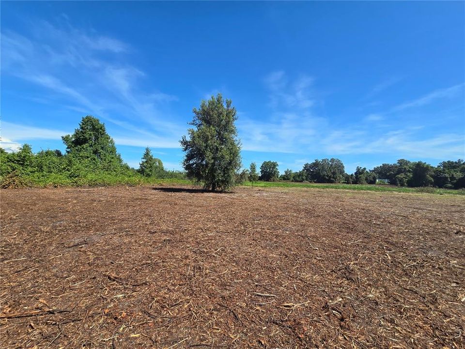 For Sale: $379,900 (21.80 acres)