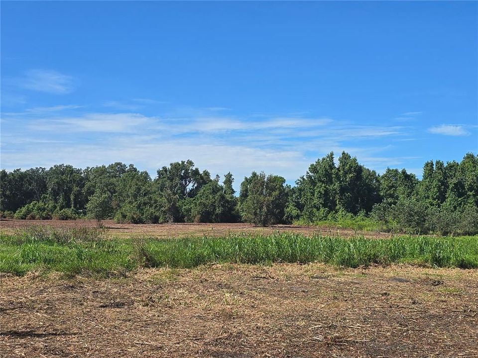 For Sale: $379,900 (21.80 acres)