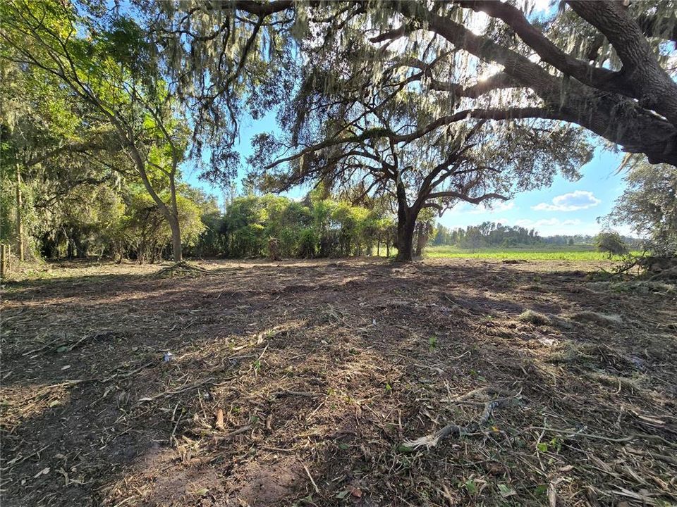 For Sale: $379,900 (21.80 acres)