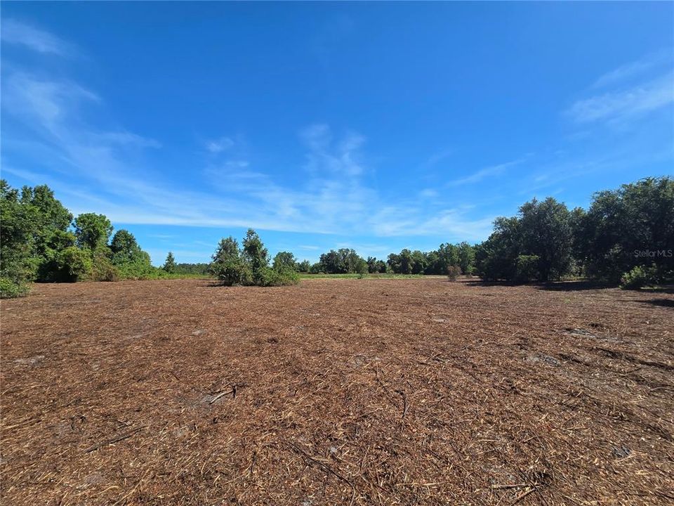 For Sale: $379,900 (21.80 acres)