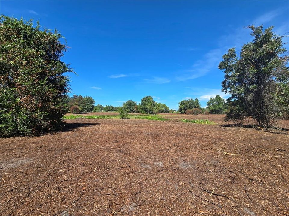 For Sale: $379,900 (21.80 acres)