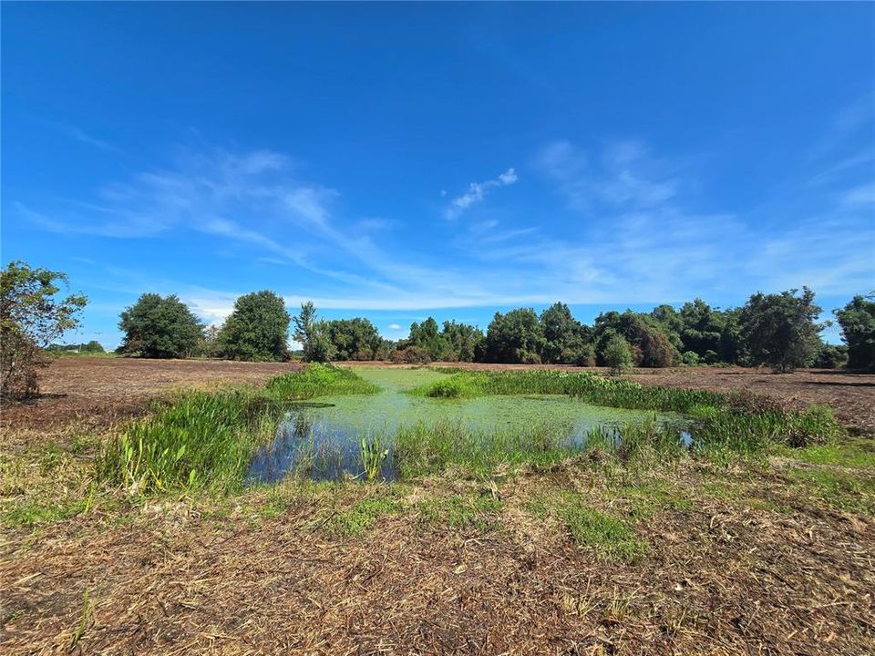 For Sale: $379,900 (21.80 acres)