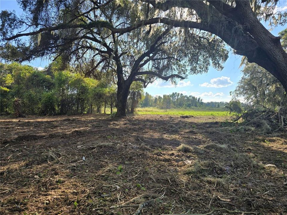 For Sale: $379,900 (21.80 acres)