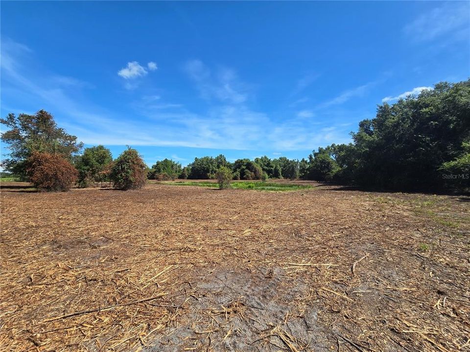 For Sale: $379,900 (21.80 acres)