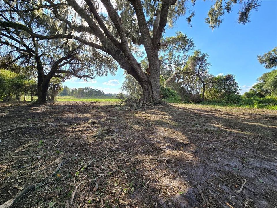 For Sale: $379,900 (21.80 acres)