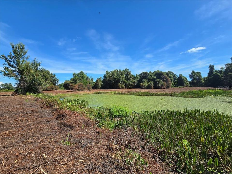 For Sale: $379,900 (21.80 acres)