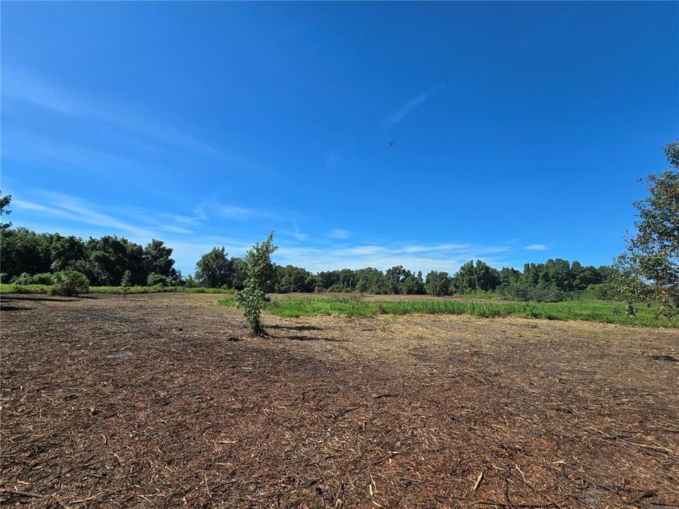 For Sale: $379,900 (21.80 acres)