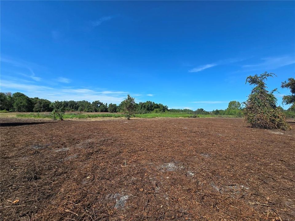 For Sale: $379,900 (21.80 acres)
