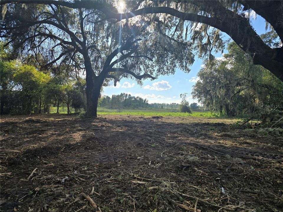 For Sale: $379,900 (21.80 acres)