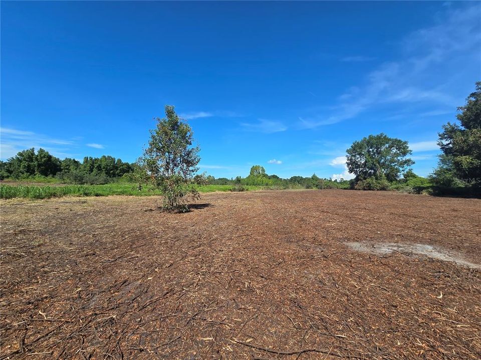 For Sale: $379,900 (21.80 acres)
