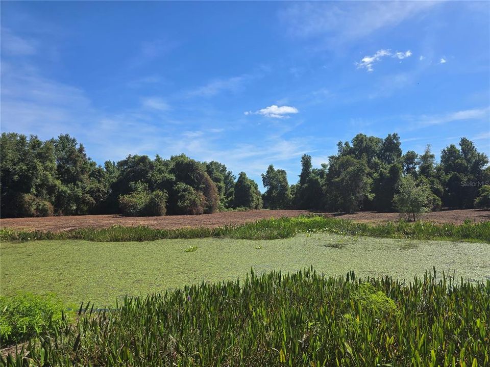 For Sale: $379,900 (21.80 acres)