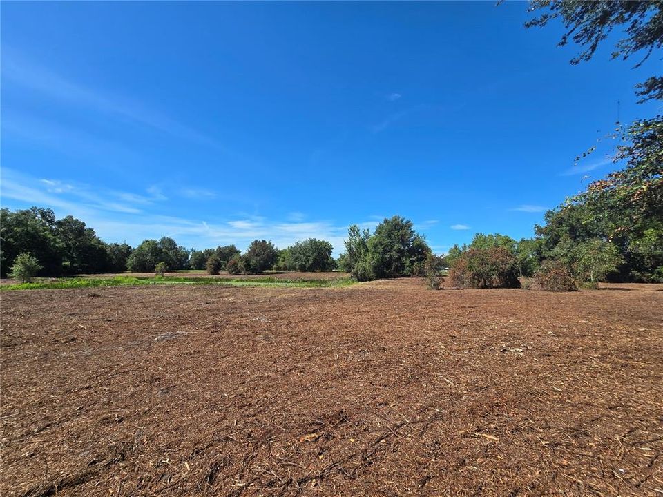 For Sale: $379,900 (21.80 acres)