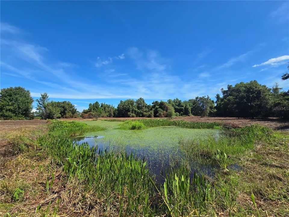 For Sale: $379,900 (21.80 acres)