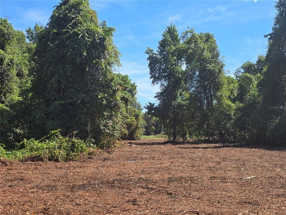 For Sale: $379,900 (21.80 acres)