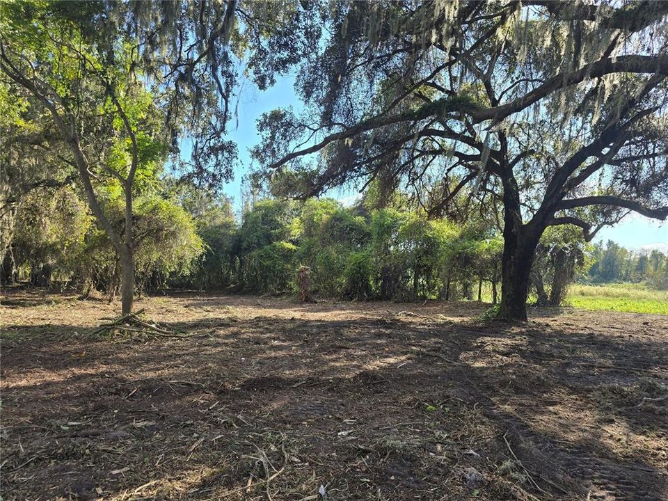 For Sale: $379,900 (21.80 acres)