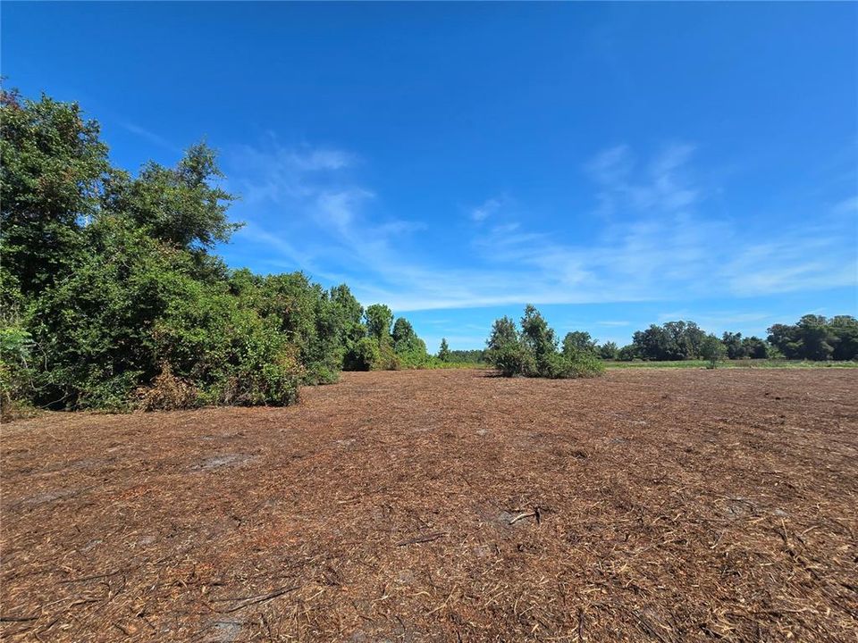 For Sale: $379,900 (21.80 acres)