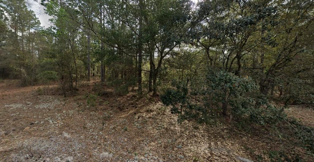 待售: $10,000 (0.20 acres)