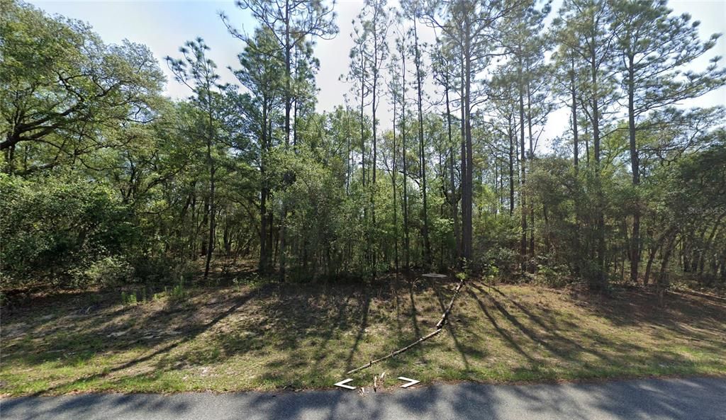 For Sale: $19,500 (0.35 acres)
