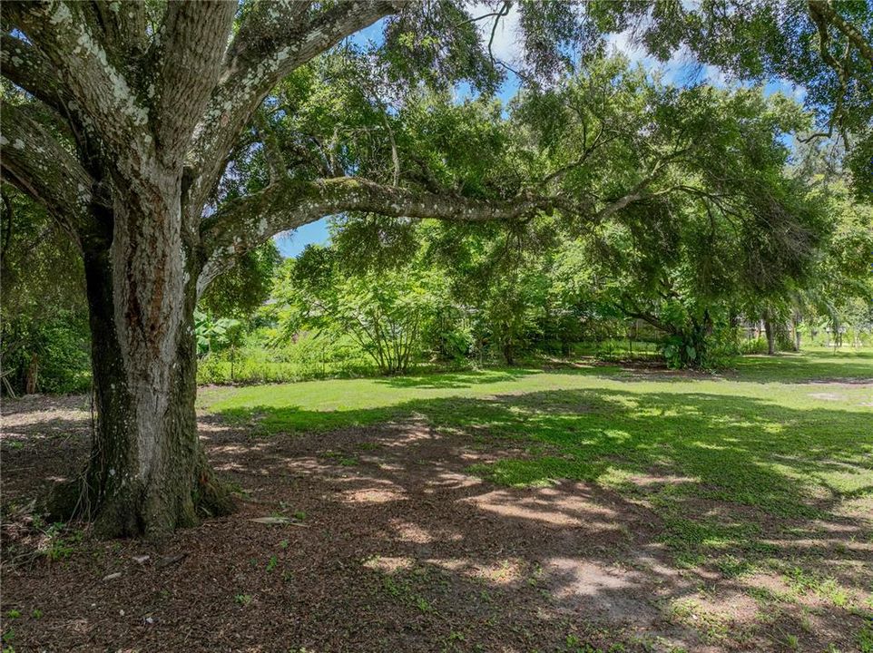 Active With Contract: $182,000 (3 beds, 1 baths, 815 Square Feet)