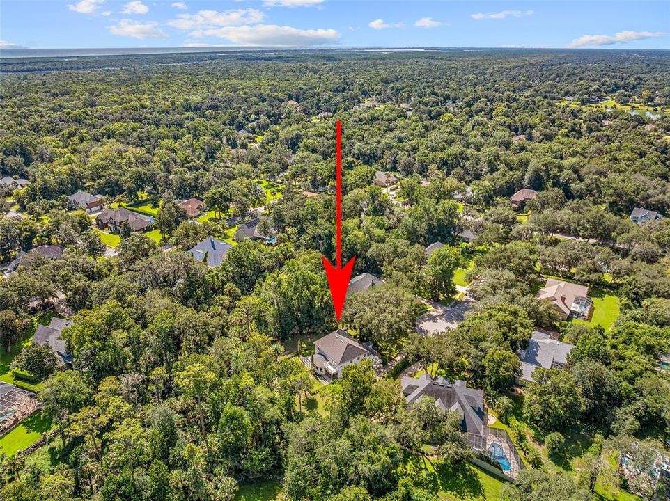 待售: $973,900 (3 贝兹, 3 浴室, 3245 平方英尺)