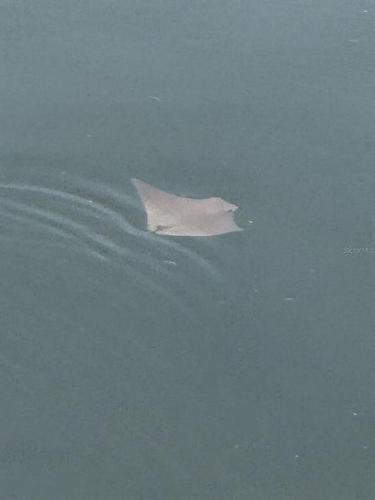 В аренду: $2,700 (3 спален, 2 ванн, 1964 Квадратных фут)