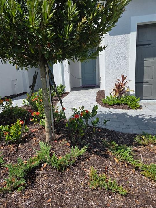 Недавно продано: $340,270 (3 спален, 2 ванн, 1790 Квадратных фут)