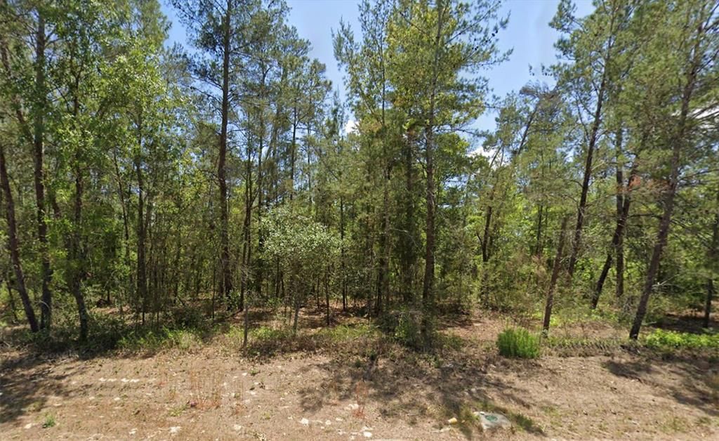 На продажу: $45,000 (0.31 acres)