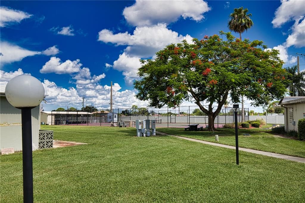 待售: $5,000 (0.16 acres)