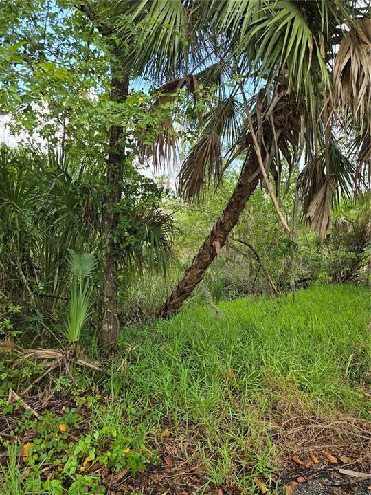 最近售出: $4,400 (0.30 acres)