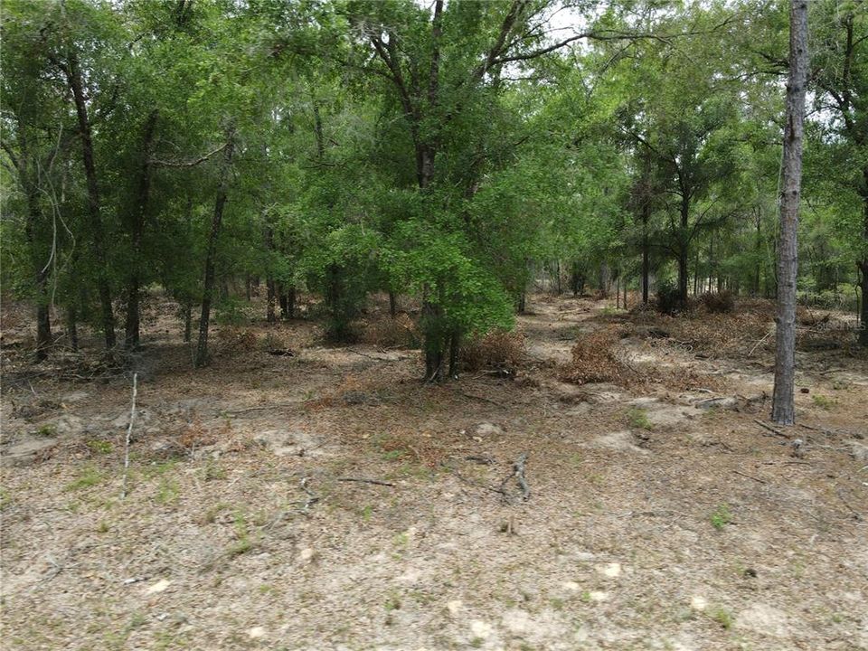 На продажу: $19,500 (0.34 acres)