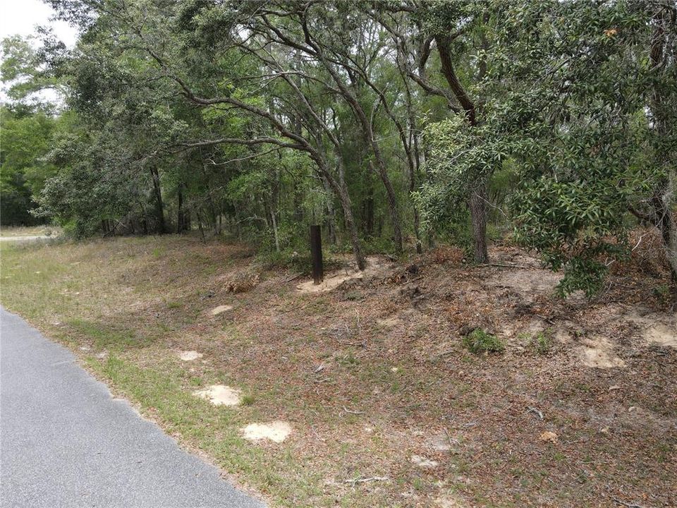 En Venta: $19,500 (0.34 acres)
