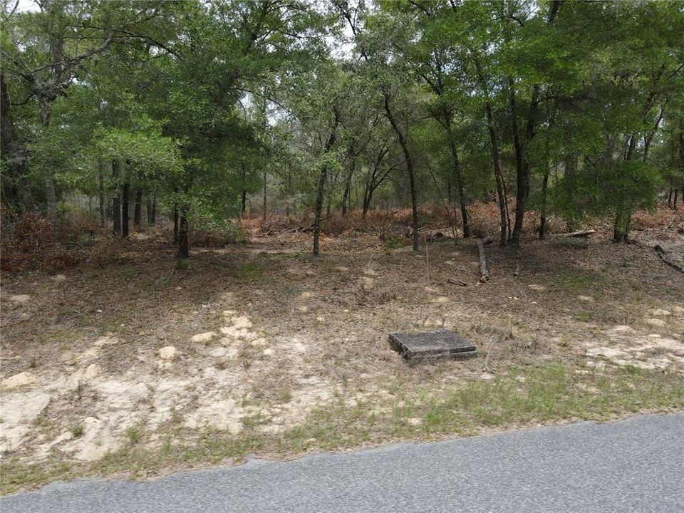 For Sale: $19,500 (0.35 acres)