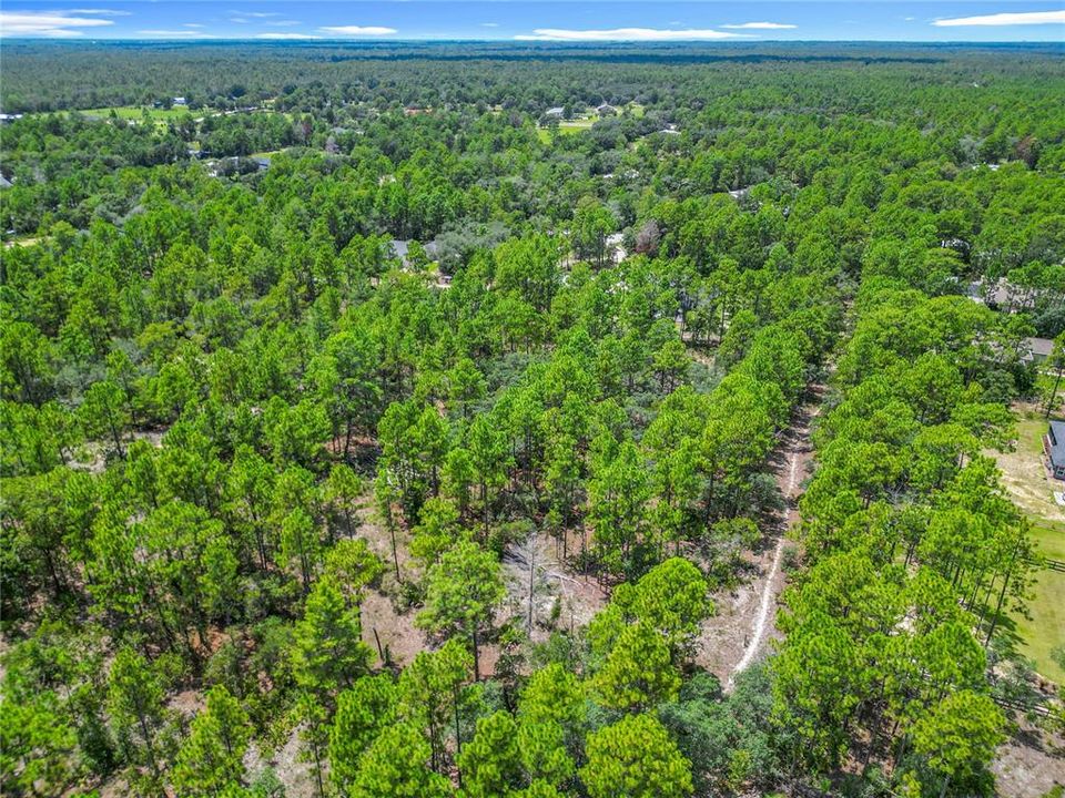 待售: $830,000 (3 贝兹, 3 浴室, 3253 平方英尺)