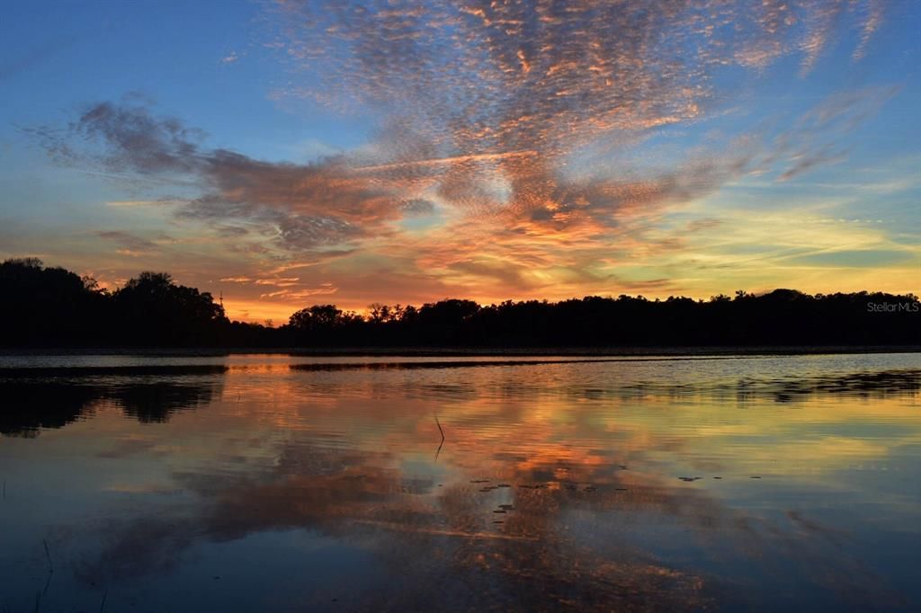 For Sale: $925,000 (7 beds, 4 baths, 5609 Square Feet)