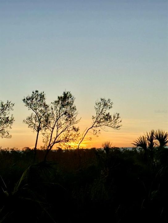 待售: $534,900 (3 贝兹, 3 浴室, 2294 平方英尺)