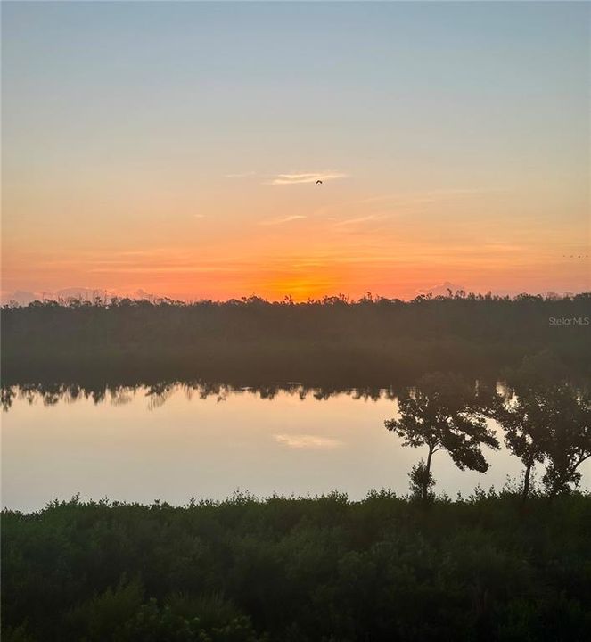 待售: $534,900 (3 贝兹, 3 浴室, 2294 平方英尺)