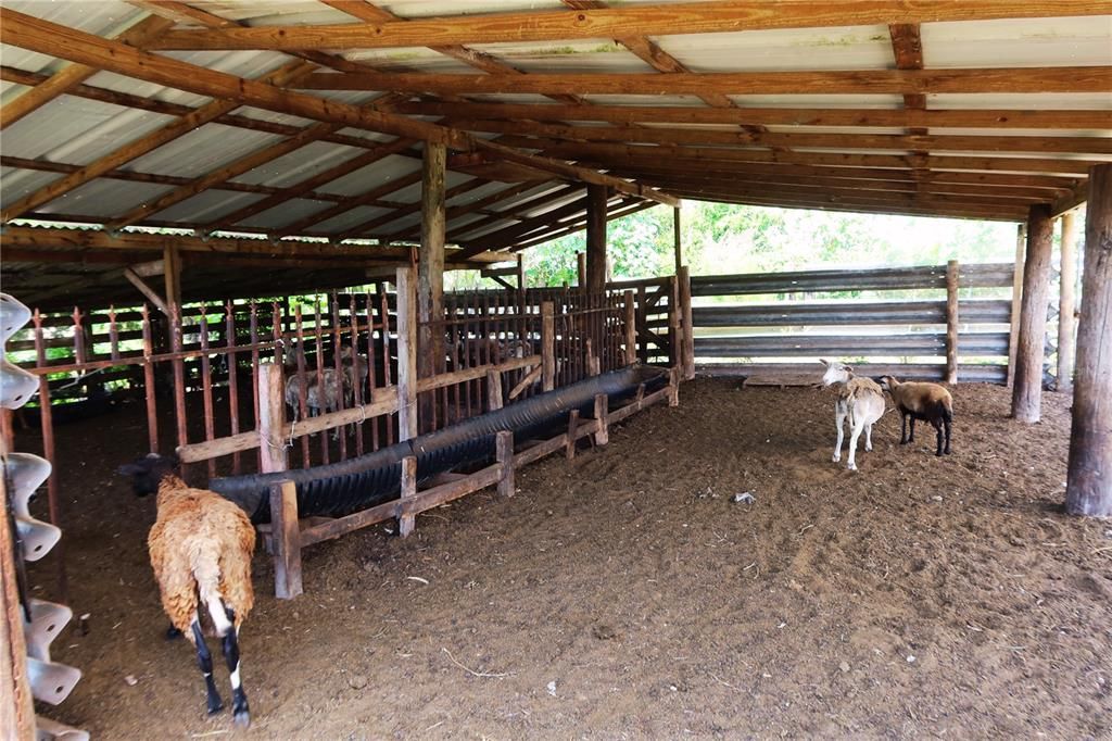 待售: $675,000 (3 贝兹, 2 浴室, 0 平方英尺)