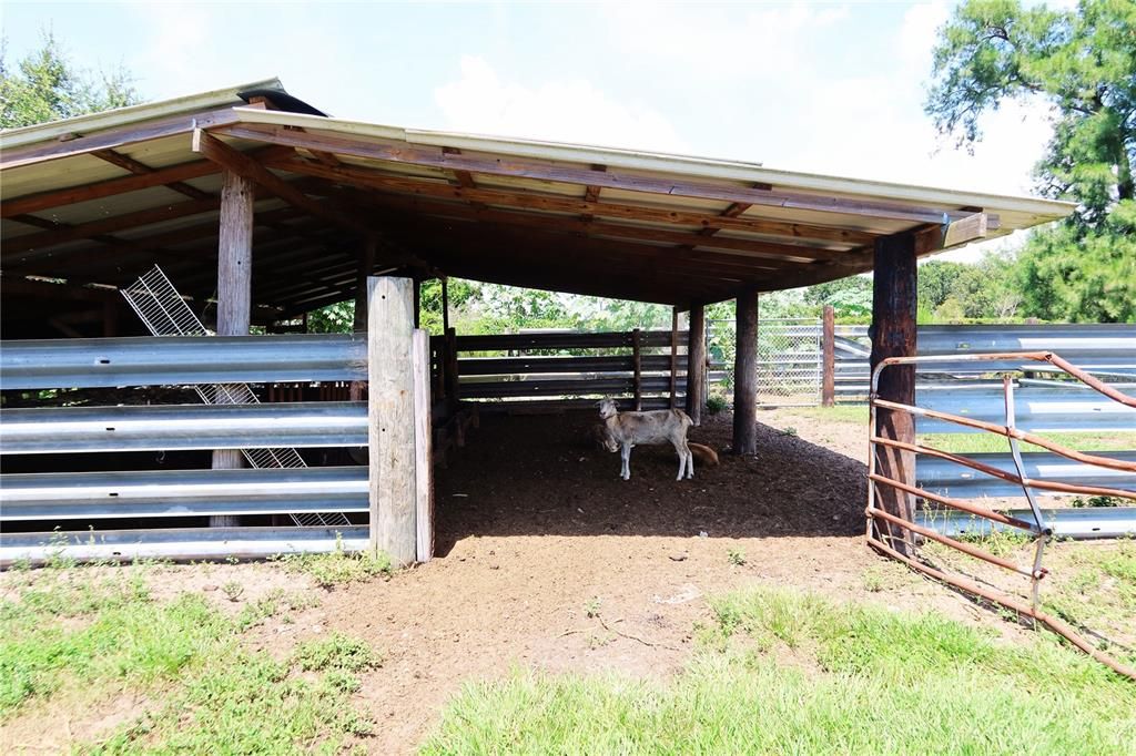 待售: $675,000 (3 贝兹, 2 浴室, 0 平方英尺)