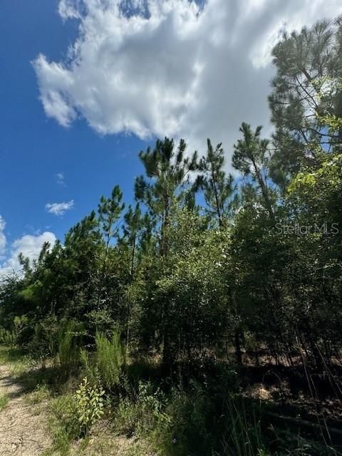 На продажу: $146,000 (12.23 acres)