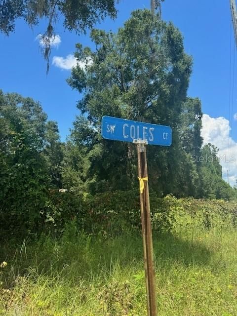 На продажу: $146,000 (12.23 acres)