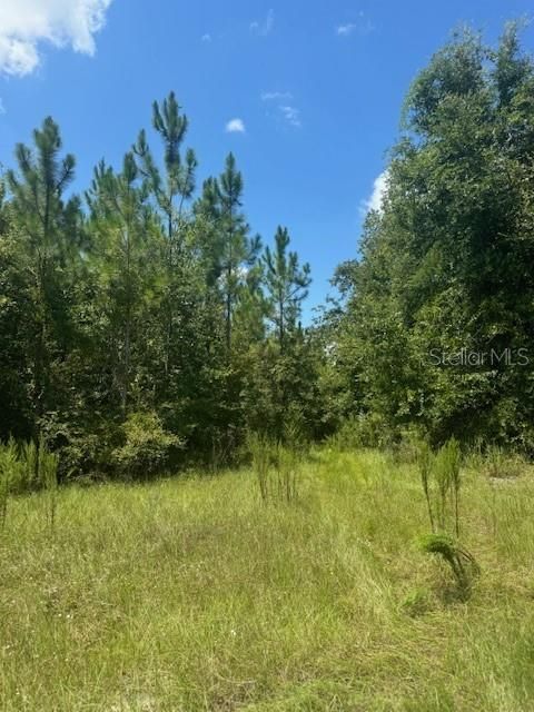 На продажу: $146,000 (12.23 acres)