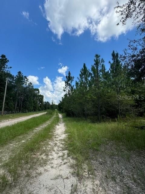 На продажу: $146,000 (12.23 acres)