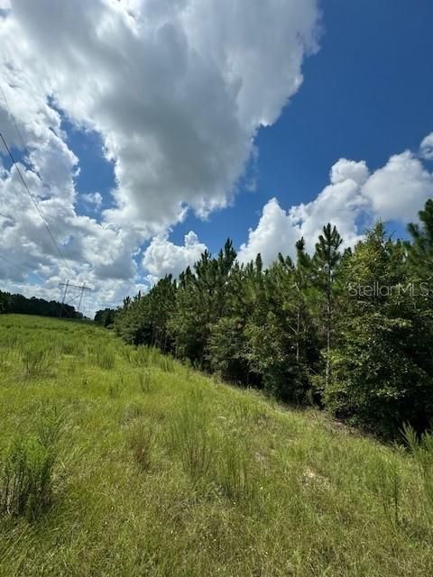 На продажу: $146,000 (12.23 acres)