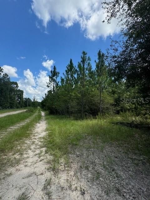 На продажу: $146,000 (12.23 acres)