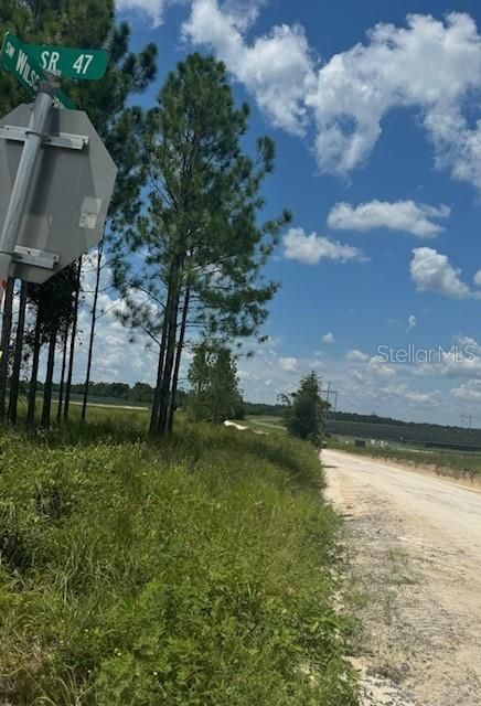 На продажу: $146,000 (12.23 acres)